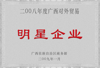 2009年明星企业